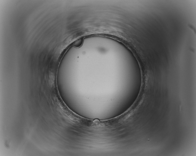 X0000099971505200806061617