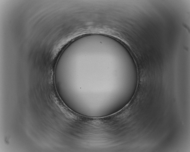 X0000099971507200806061617