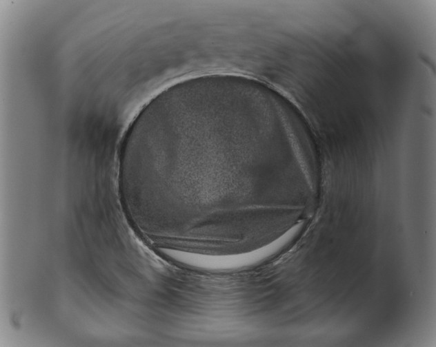 X0000099971508200806061617