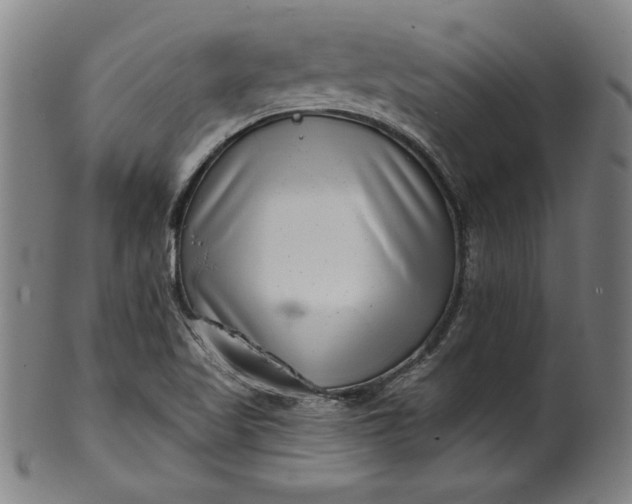 X0000099971509200806061617