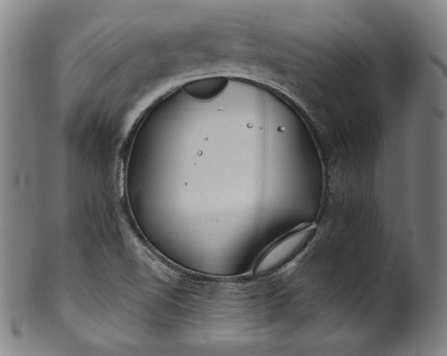 X0000099971510200806061617