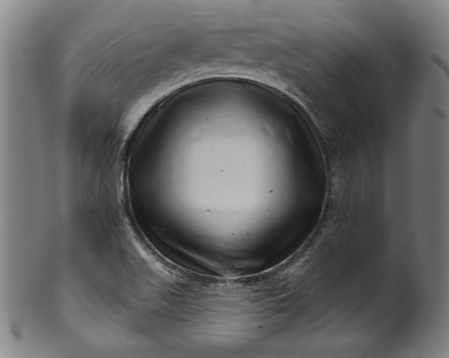 X0000099971511200806061617