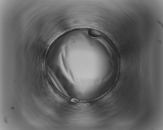 X0000099971513200806061617