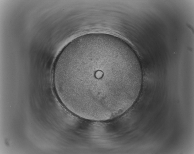 X0000099971514200806061617