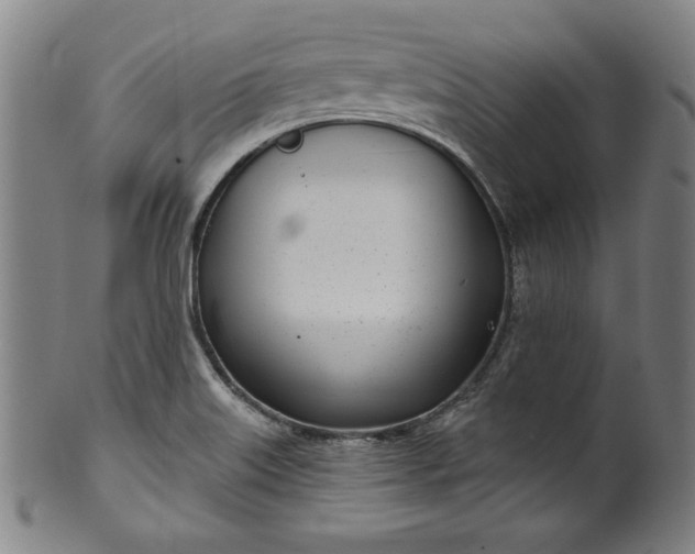 X0000099971515200806061617