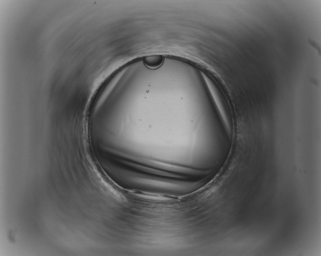 X0000099971517200806061617