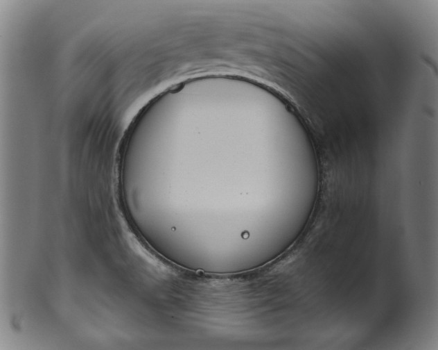 X0000099971518200806061617