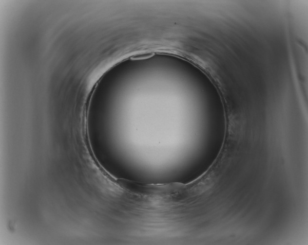 X0000099971520200806061617