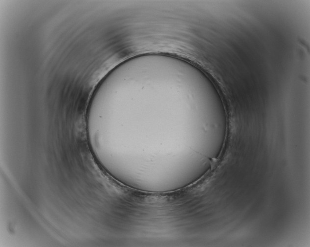 X0000099971521200806061617