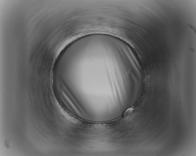 X0000099971523200806061617