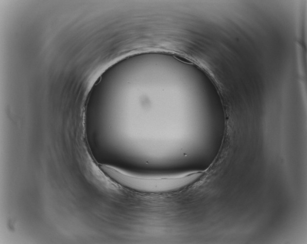 X0000099971524200806061617