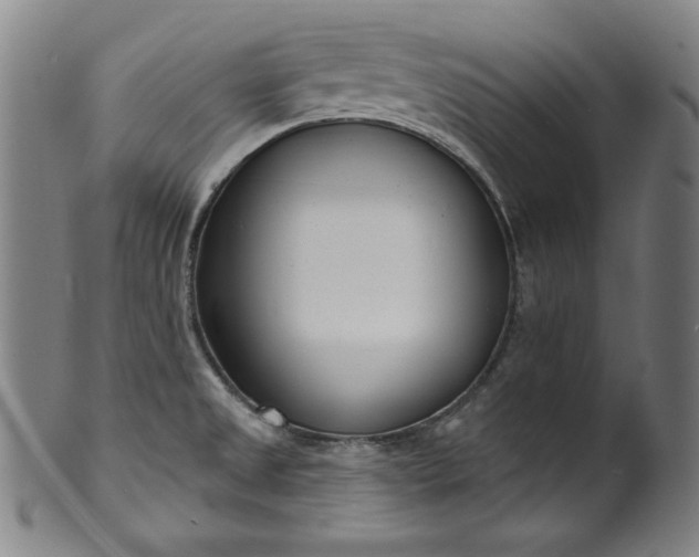 X0000099971525200806061617