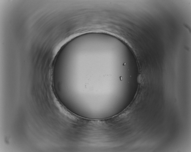 X0000099971526200806061617