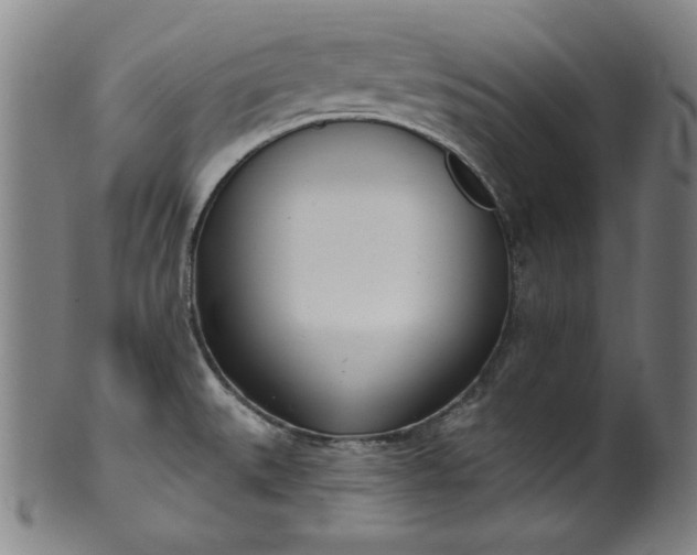 X0000099971527200806061617