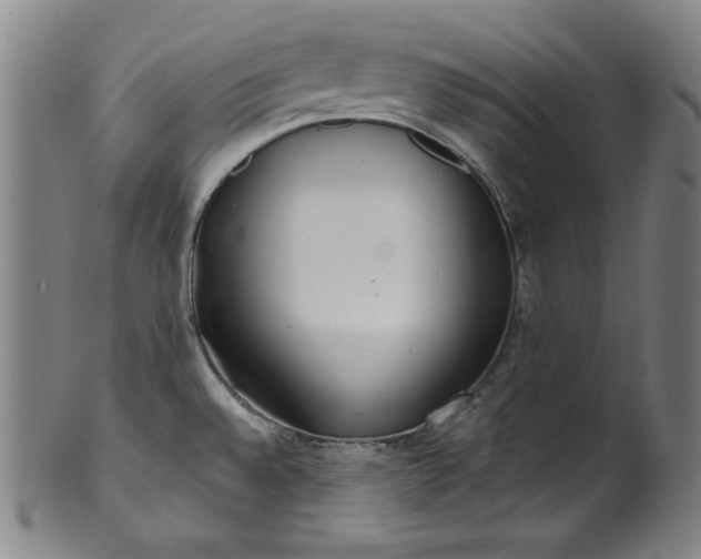 X0000099971528200806061617