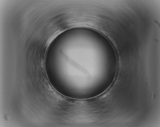 X0000099971529200806061617