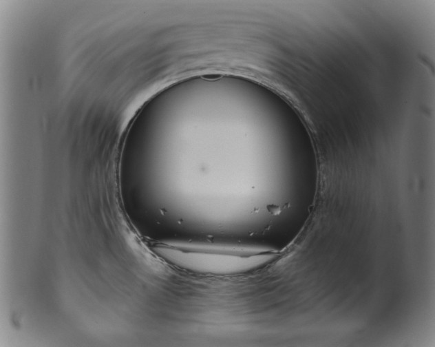 X0000099971530200806061617