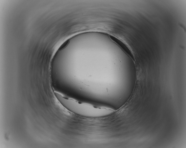 X0000099971532200806061618