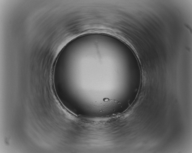 X0000099971533200806061618