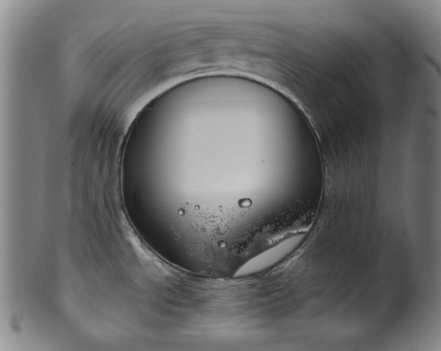 X0000099971534200806061618