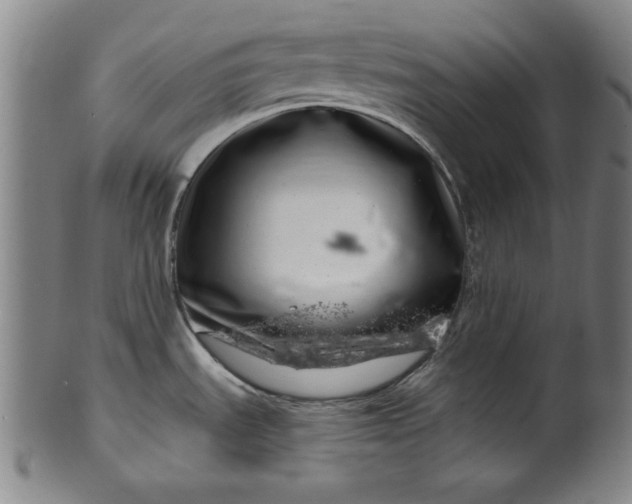 X0000099971535200806061618