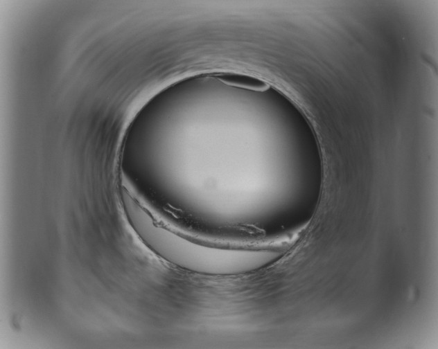 X0000099971536200806061618