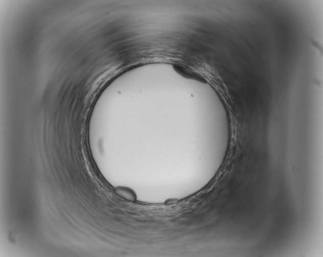 X0000099970001200806131542