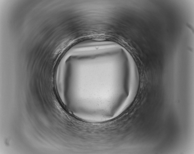 X0000099970002200806131542