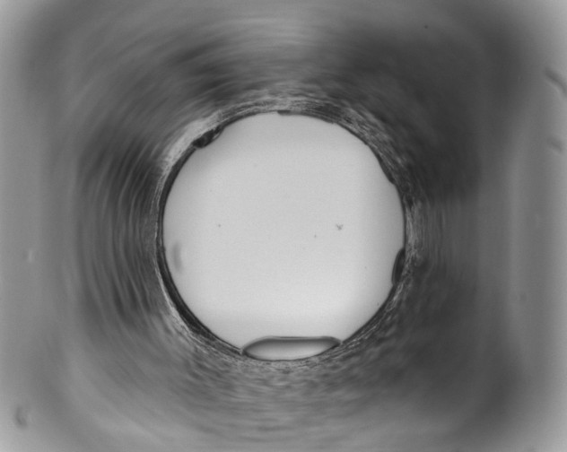 X0000099970003200806131542