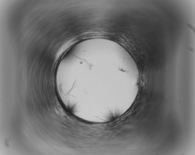 X0000099970004200806131542