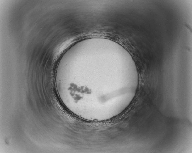 X0000099970005200806131542