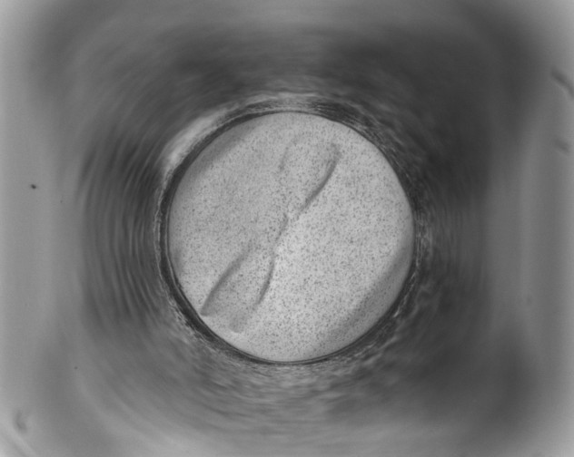 X0000099970006200806131542