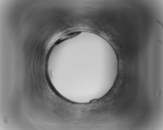 X0000099970007200806131542