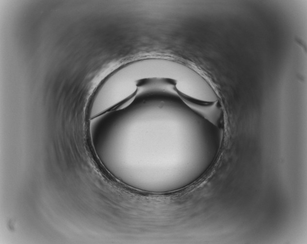 X0000099970008200806131542