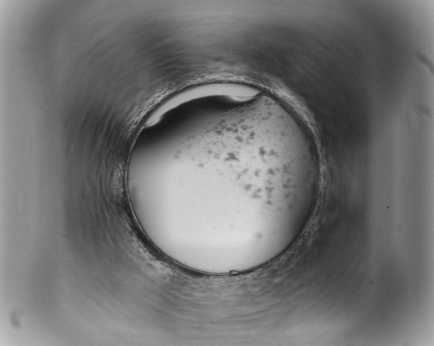 X0000099970009200806131542