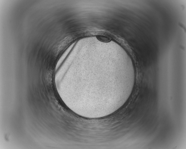 X0000099970010200806131542