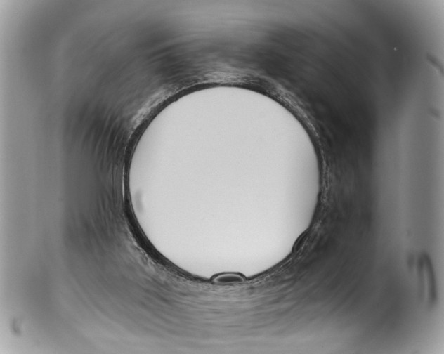 X0000099970011200806131542