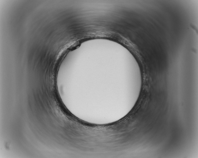 X0000099970012200806131542