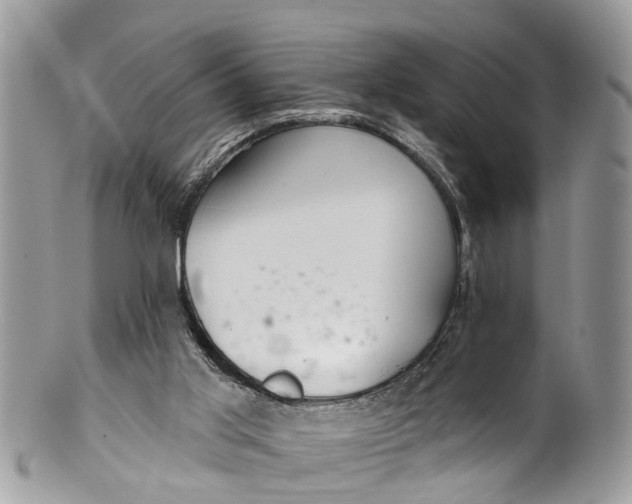 X0000099970013200806131542