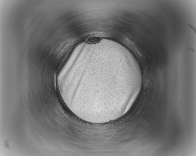 X0000099970014200806131542