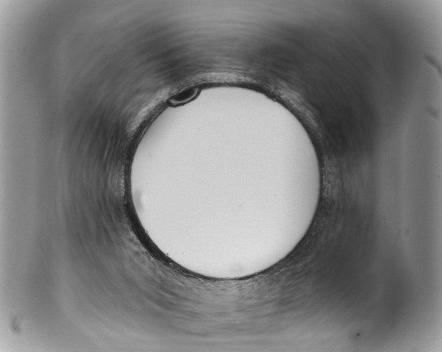 X0000099970015200806131542