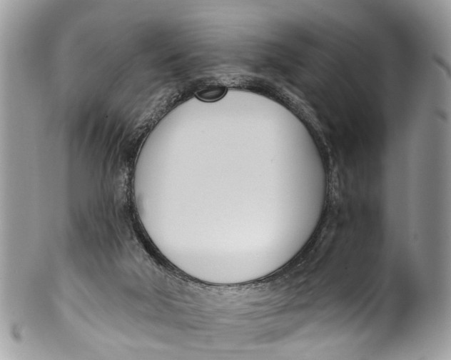 X0000099970018200806131542