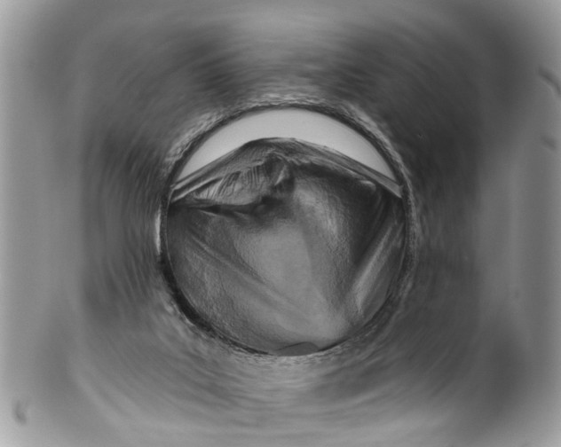 X0000099970019200806131542