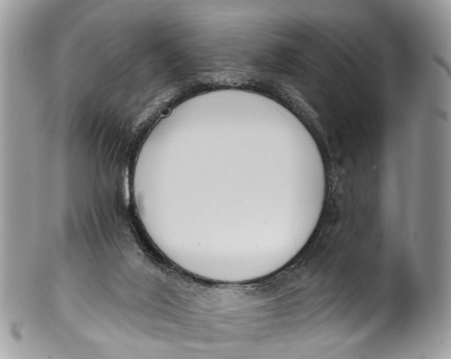 X0000099970020200806131542