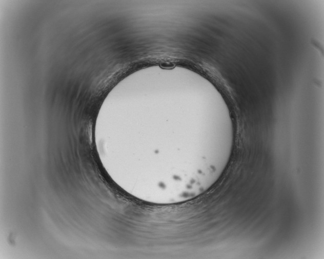 X0000099970021200806131542