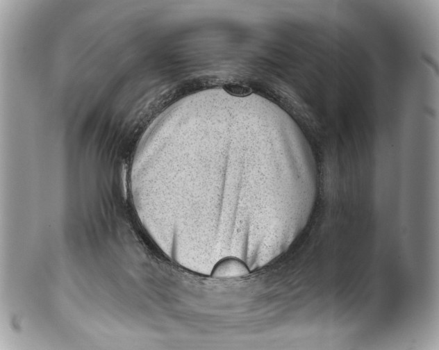 X0000099970022200806131542