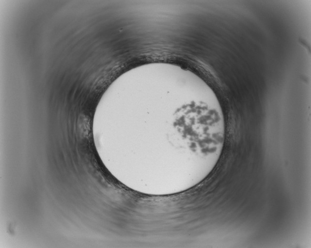 X0000099970025200806131542