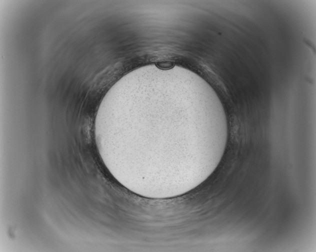 X0000099970026200806131542