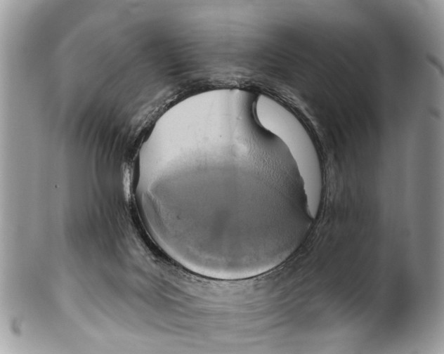 X0000099970027200806131542