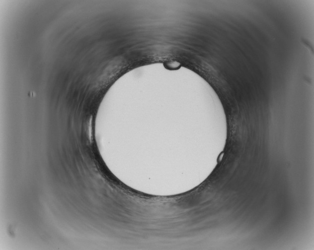 X0000099970028200806131542